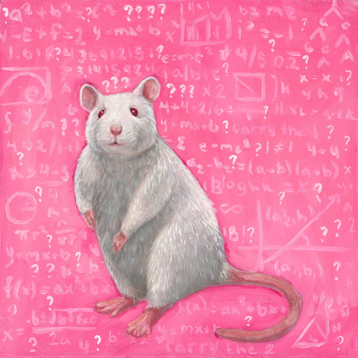 "Girl Math (Kinda Confused at the 504 Meeting)"